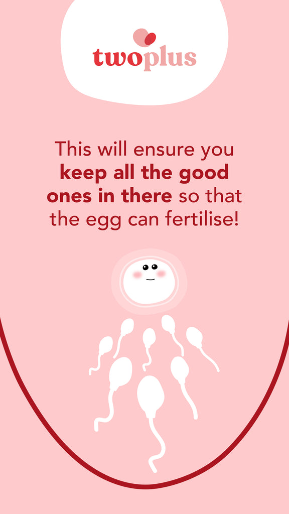 good quality sperm increase pregnancy success rates 