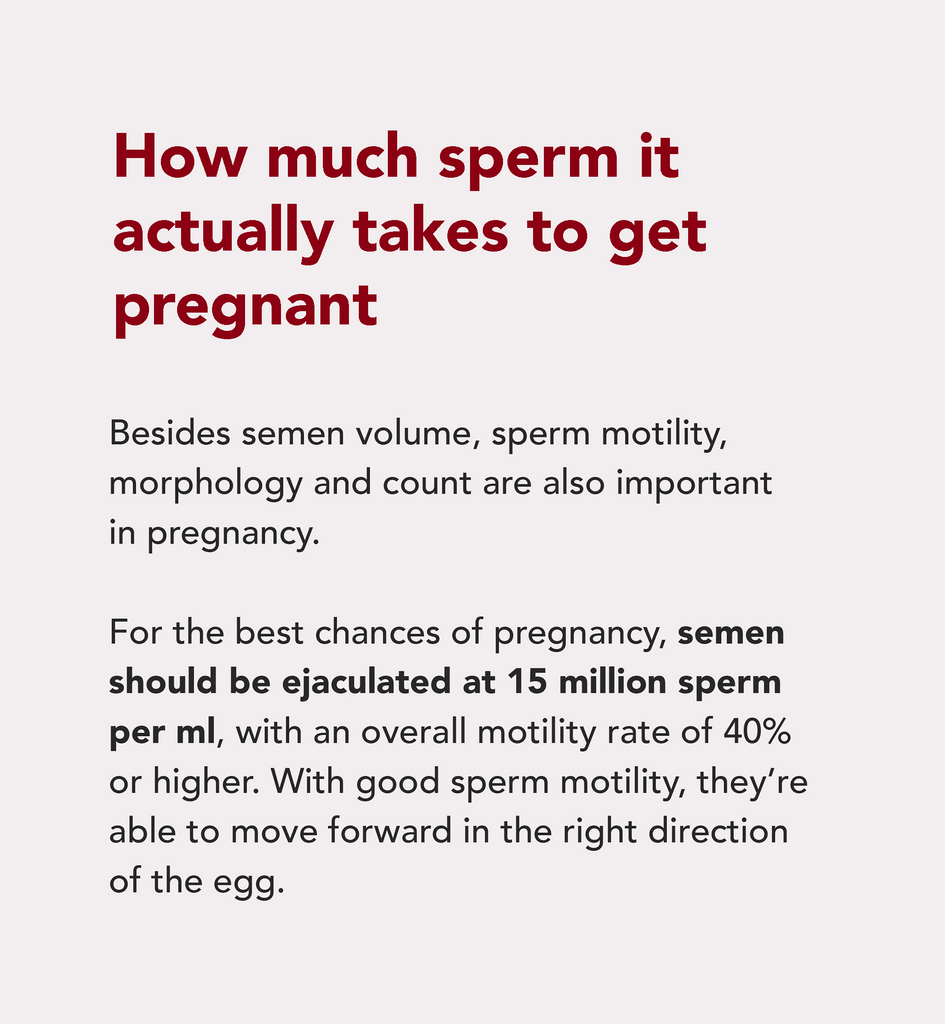 how much sperm it takes to get pregnant 