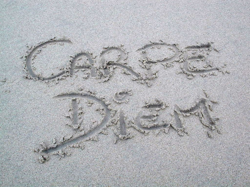 Carpe Diem, Mon Ami