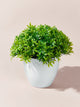 1PC Artificial Plants Bonsai Small Tree Pot Flowers Potted Ornaments Decorations