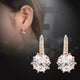 Rose Gold Color Crystal Ear Buckle Ear Studs Earrings Female Fashion Earrings - Ecart