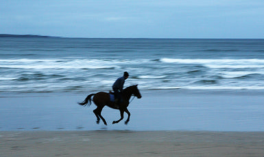 Horse & Surf, Lahinch Ireland
