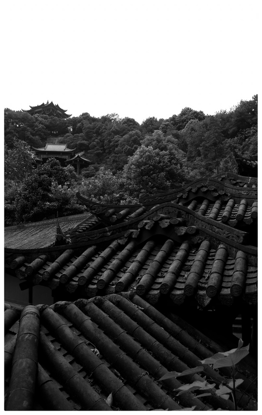 The Climb at Leshan Park