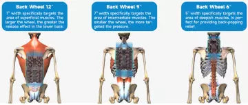 Roller Stretches for Back: The Game Changer in Back Pain Management