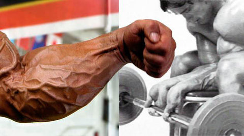 How to scientifically and effectively improve grip strength?