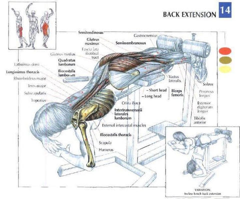 Back extension bench