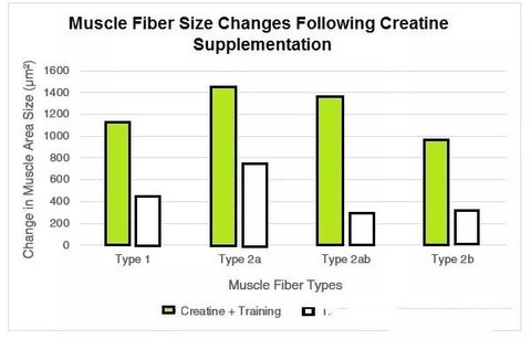 blood flow restriction training