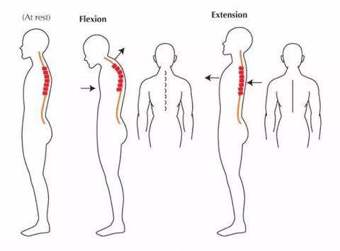 Improve the mobility of the thoracic spine