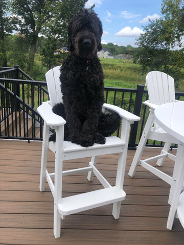 tall adirondack chair on deck with dog