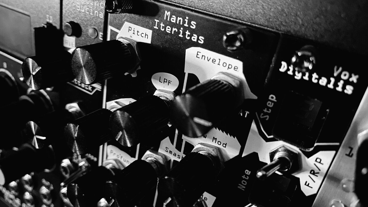 Black and white image is a close-up showing the Noise Engineering modules Manis Iteritas and Vox Digitalis in a case