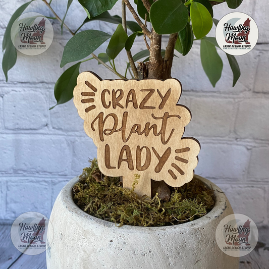 Top Teacher Plant Markers, Teacher Gift, End of Term Present, Funny  Gardening Puns, Made in UK, Free UK Postage, Wooden Engraved Stakes 