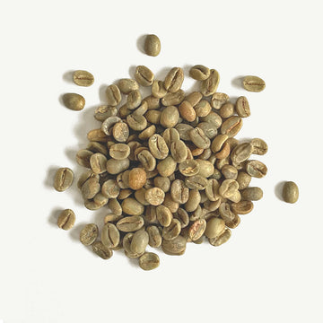 Quick Mill Rubino. Silipo Gold Coast Coffee. Gold Coast Coffee Beans