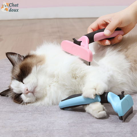 BROSSE POUR CHAT