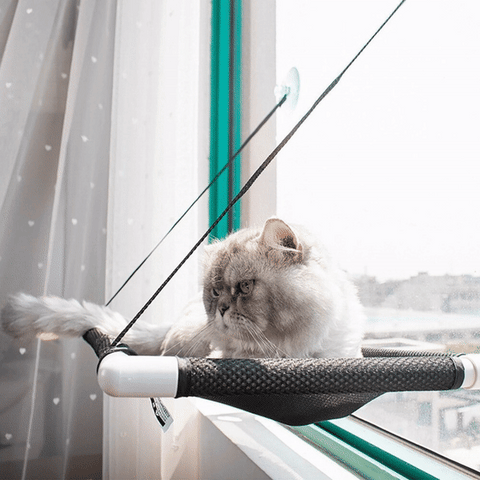 Karlie Hamac de fenêtre pour chat