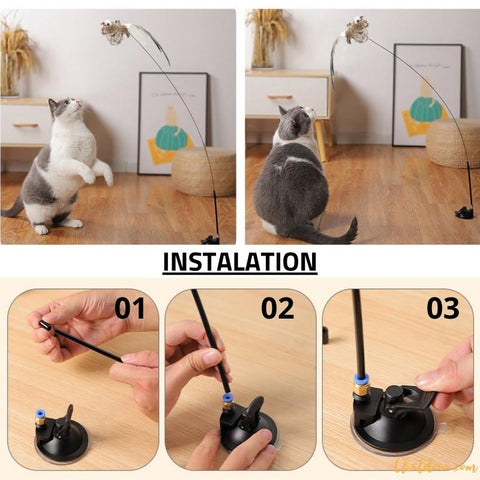 CANNE A PECHE CHAT INSTALLATION