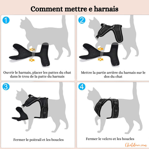 comment_mettre_harnais_pour_chat