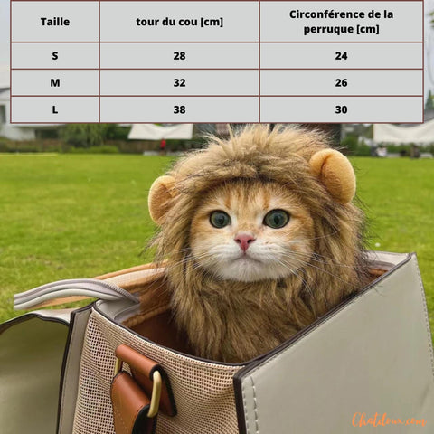 deguisement-chats-taille