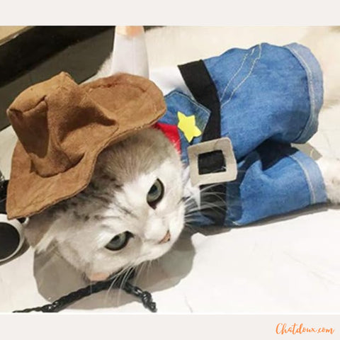 deguisement-halloween-chat-chapeau