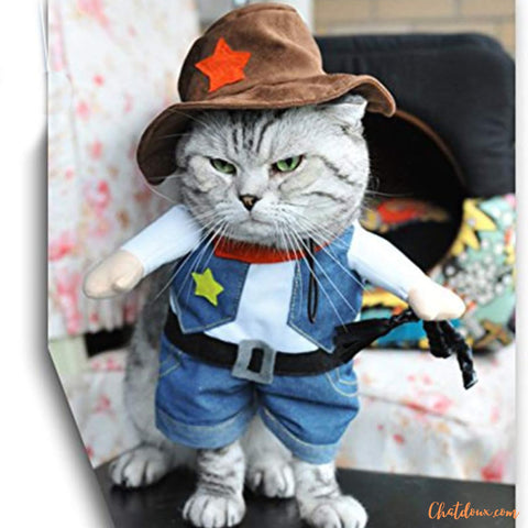 deguisement-halloween-chat-costum-cow-boy