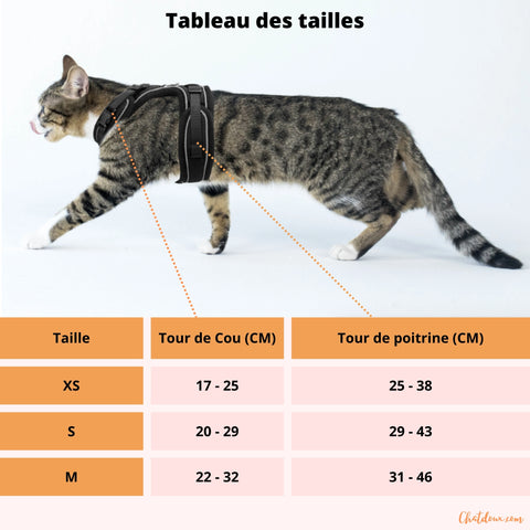 harnais_pour_chat_guide_des_tailles