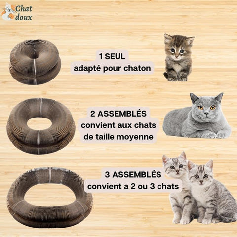 jouet chat