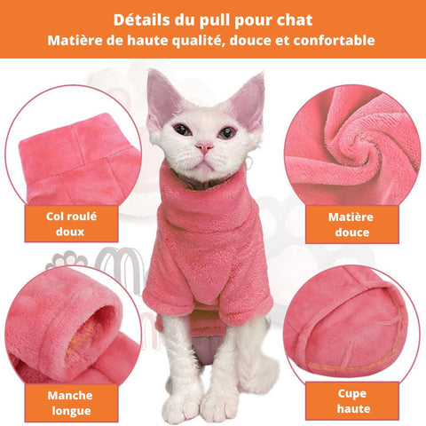 pull-pour-chat