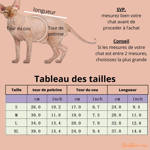 taille-pull-chat