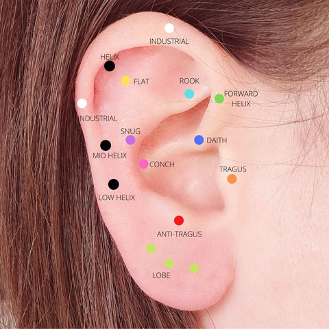 Types Of Ear Piercings, Ear Piercing Chart, IPad Case Skin ...