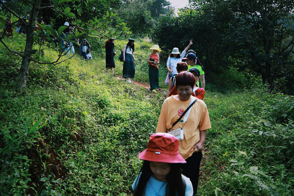 Hikking in Vietnam Da Lat Travel