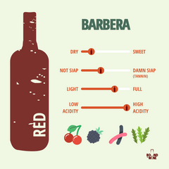 Grape Focus | Barbera