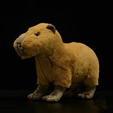 Capybara Soft Plush Toy