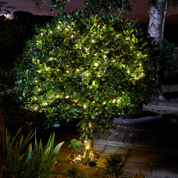 tree lit with warm white solar powered fairy lights