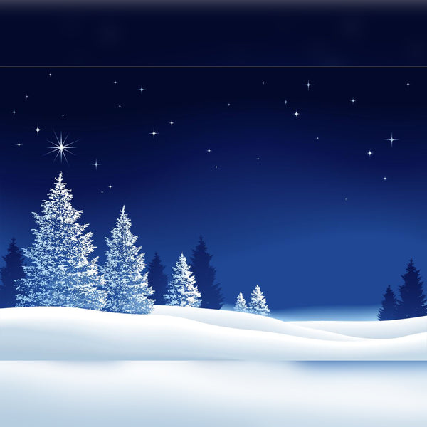 clipart of a christmas starry night