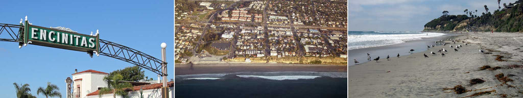 Encinitas sign, aerial view of beach, and birds on the beach