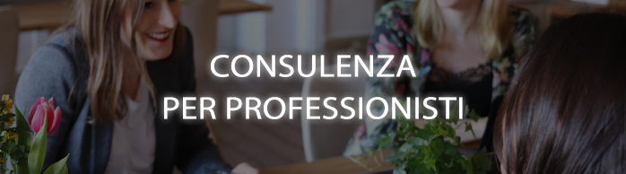 Consulenza per i professionisti