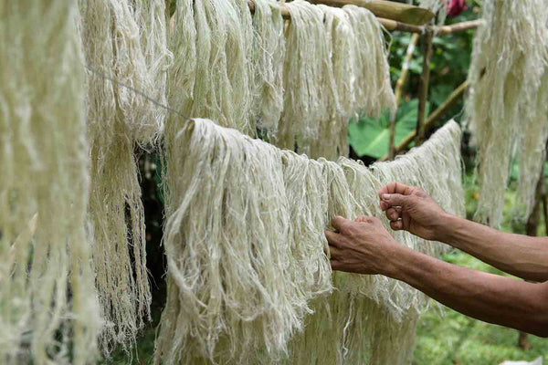 fibre de feuille d'ananas utilisées pour fabriquer du ciur vegan ecoresponsable pour les étiquettes des sacs bananes upcyclés bananas de Binette