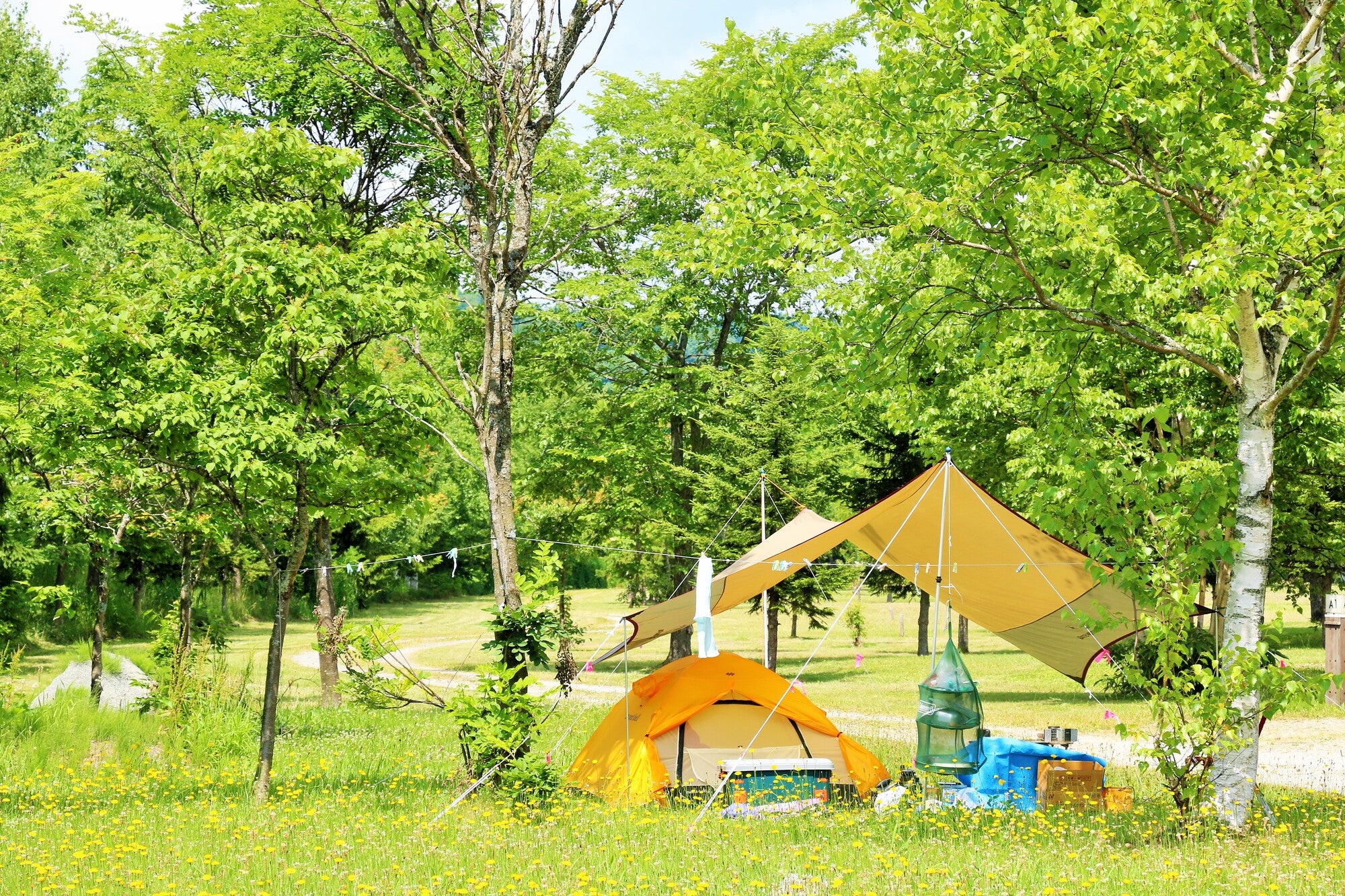 家族でキャンプを楽しもう 子連れで楽しめる東北のキャンプ場をご紹介 道の駅たのはた 思惟の風