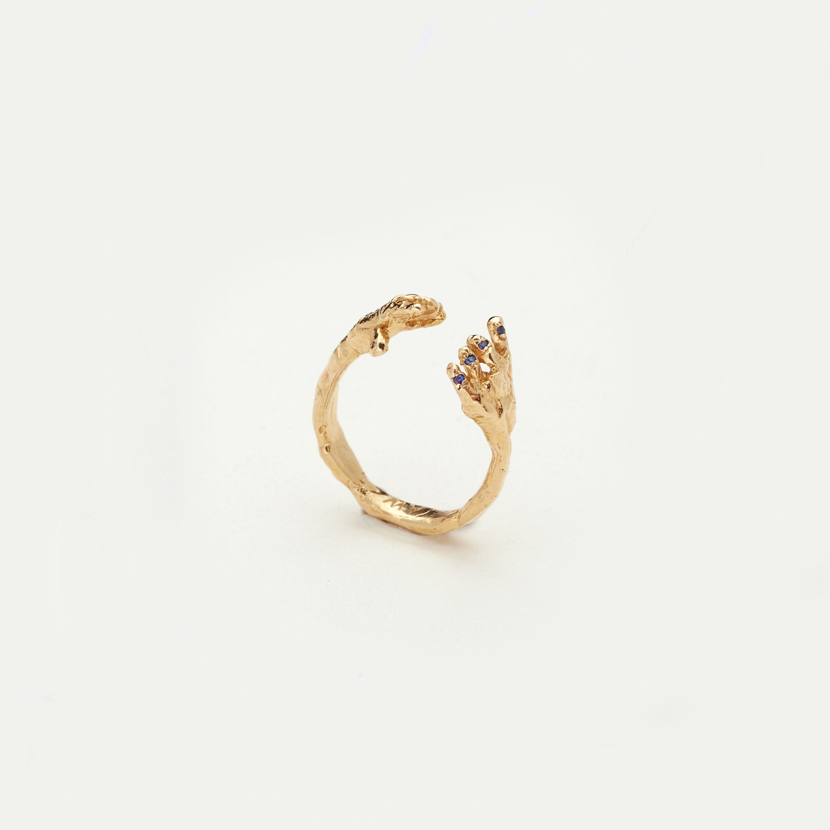 Alice waese アリスウェイズ bird's cage ring-