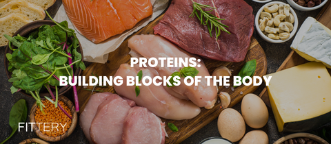 Proteins - Building Blocks of The Body