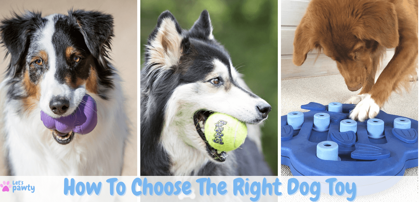 How to choose the right dog toy