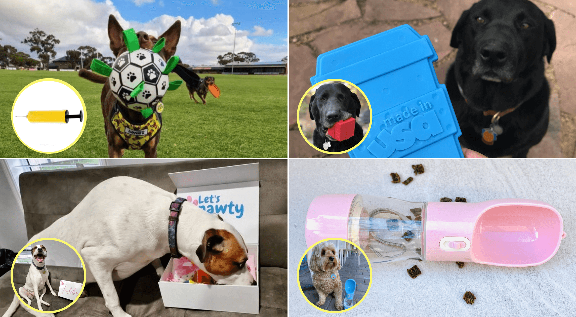 Must-have dog products for 2022 Let's Pawty blog