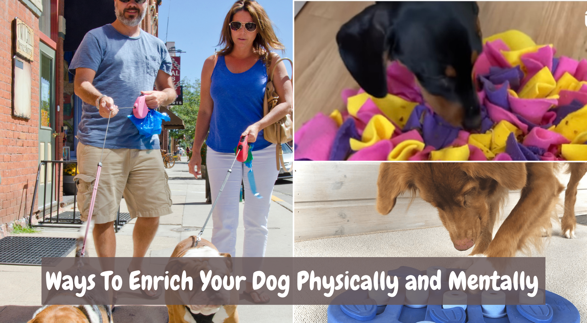 Ways To Enrich Your Dog Physically and Mentally