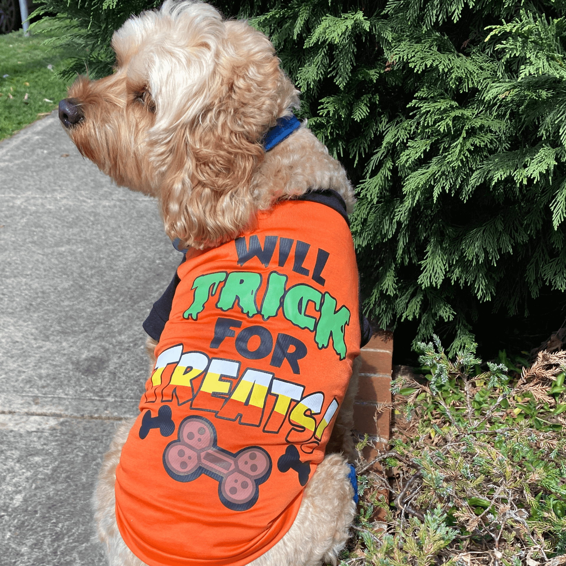 dog themed halloween shirts