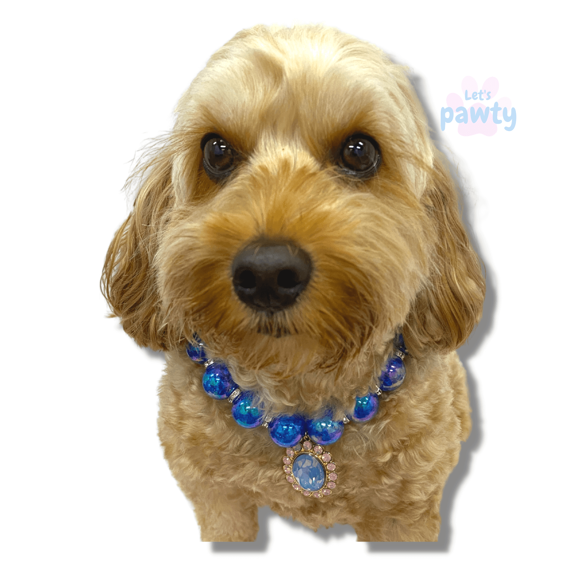 Dog Beaded Necklace, Dog and Owner Necklace, Bead Dog Collar, Custom Dog  Necklace, Dog Jewelry, Match Your Dog, Dog Tag Matching Necklace - Etsy