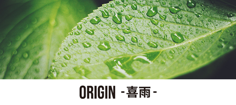 ORIGIN