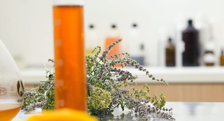 Fresh, natural herbs, embodying the organic and high-nutrition ingredients used in Blithe's skincare serum formulations.