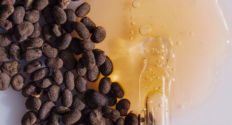 Image of bakuchiol seeds adjacent to a container of clear, amber-colored liquid extract, illustrating the natural derivation process of bakuchiol used in skincare products.