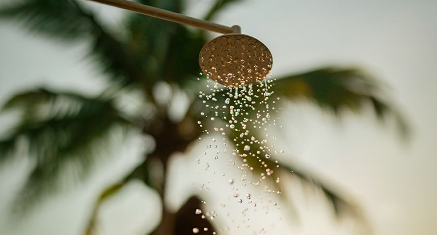 A close-up of a showerhead with water streaming out, illustrating the essential element of water in the daily cleansing ritual of showering.