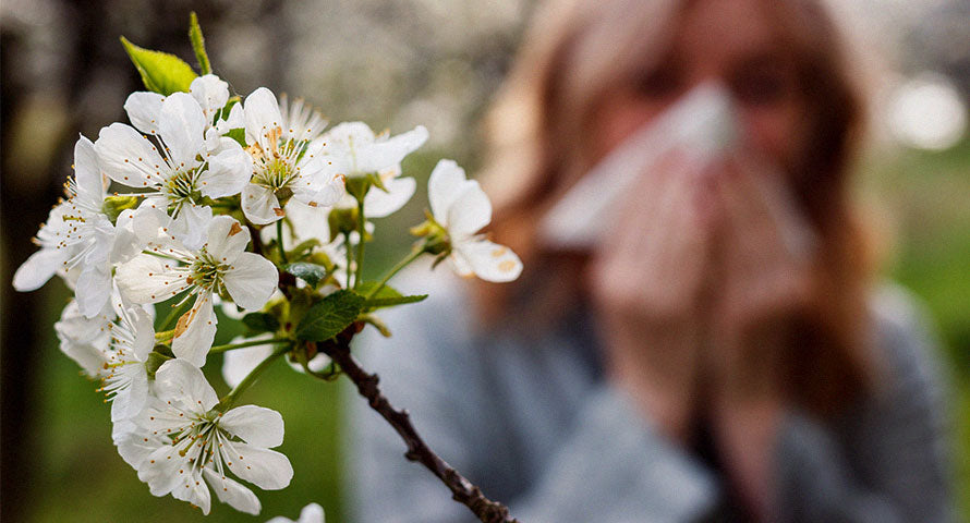 A picturesque view of delicate pink and white spring flowers blooming, representing the beauty and challenge of spring.