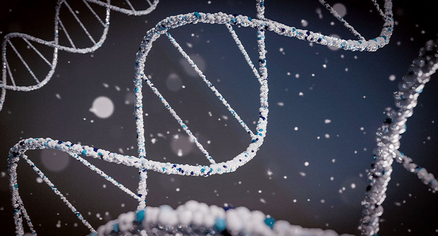 Image of a DNA double helix structure, visually representing the intricate twists and turns of genetic material with a clear depiction of the connected base pairs.